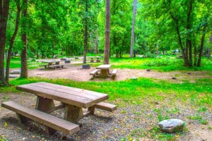 Campground with picnic table and camp sites.