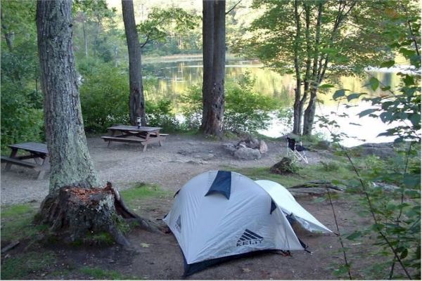 Beartown State Forest - Monterey Camping in Massachusetts