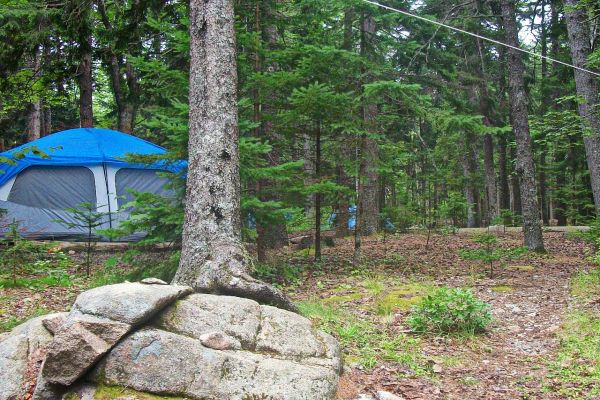 Blackwoods Campground - Acadia National Park, Mount Desert Island Camping in Maine