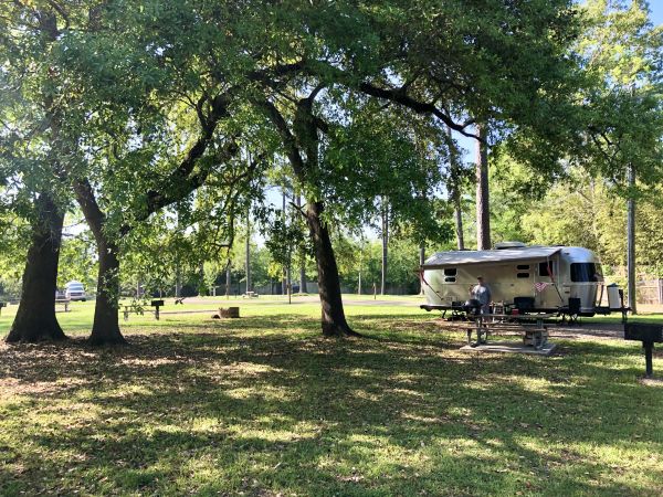 Fairview-Riverside State Park - Madisonville Camping in Louisiana