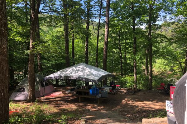 Ozark National Forest (Long Pool Recreation Area)-Camping in Arkansas