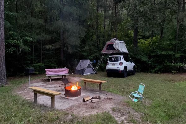 Redden State Forest - Georgetown-Camping in Delaware
