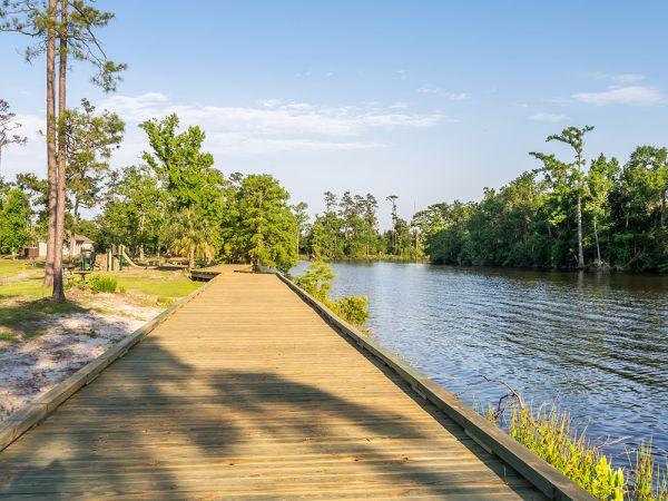 Sam Houston Jones State Park - Lake Charles Camping in Louisiana