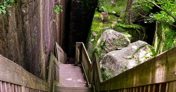 Shawnee National Forest - Rim Rock National Recreation Trail-Camping in Illinois