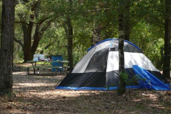 Shepard State Park - Gautier Camping in Mississippi
