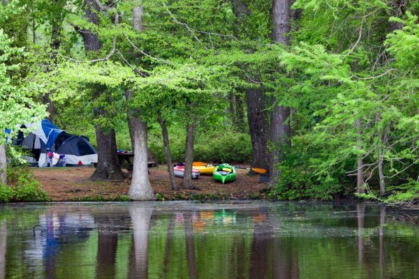 Trap Pond State Park - Laurel-Camping in Delaware