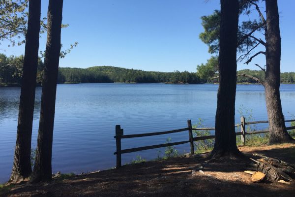 Tully Lake Campground - Royalston Camping in Massachusetts