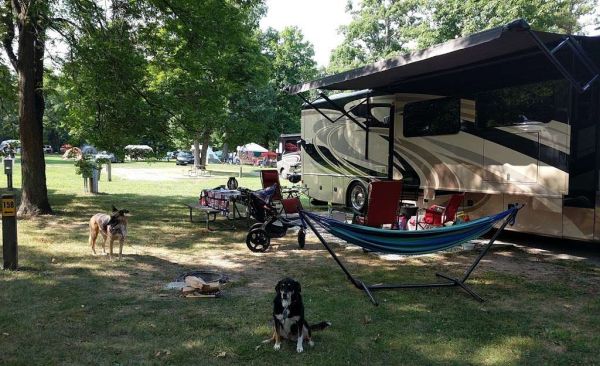 Yogi Bear's Jellystone Park Camp-Resort - Millbrook-Camping in Illinois