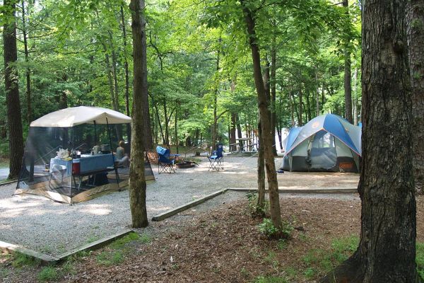 Great Smoky Mountains National Park - Cataloochee Camping in North Carolina