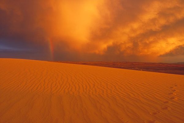 Red Desert BLM - Killpecker Sand Dunes Camping in Wyoming