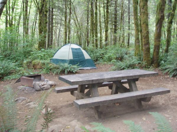 Salmonberry Campground - Tillamook State Forest Camping in Oregon