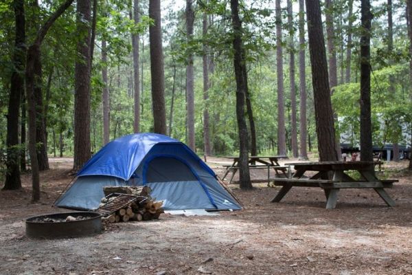 Sesquicentennial State Park Campground - Columbia Camping in South Carolina