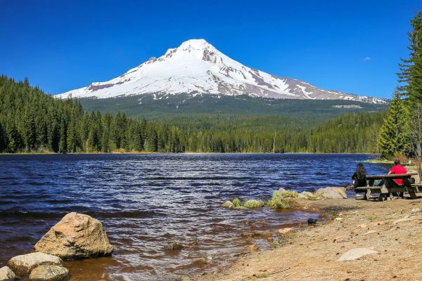 Trillium Lake Campground - Mount Hood National Forest Camping in Rhode Island