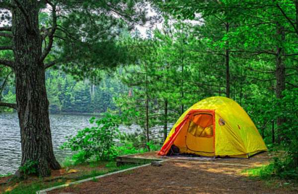 Camping tip, clear your tent site.