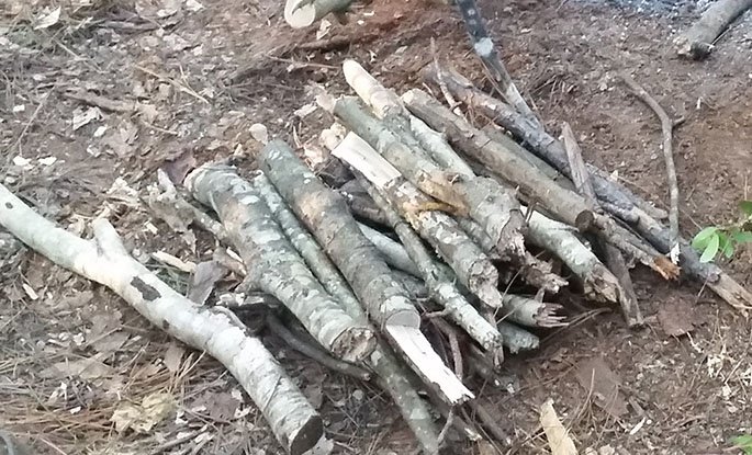 Dry firewood