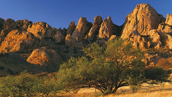 Cochise Stronghold campground in Southern Arizona.
