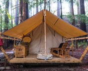 Glamping tent in the forest