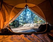 View from inside a camping tent