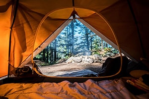 14 Best 6 Person Tents
