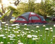 Spring camping tips