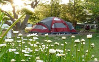 Spring camping tips