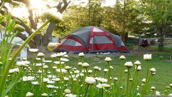 Spring camping tips