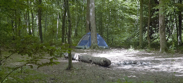 Best places to go camping in Indiana, Morgan-Monroe State Forest